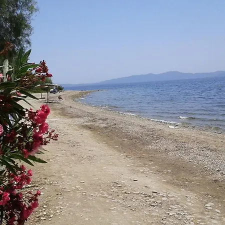 Galini Summer Holidays